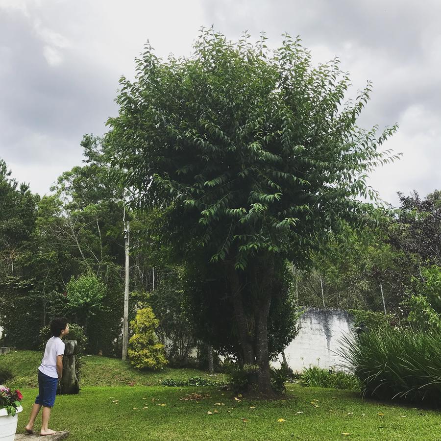 Pousada Recanto Castelinho Campos do Jordão エクステリア 写真
